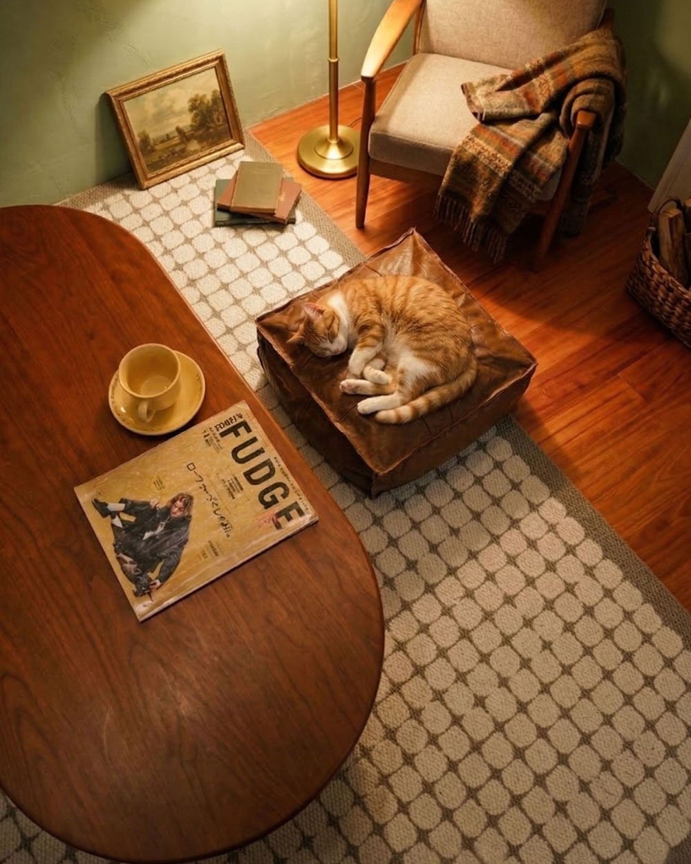 Cat-friendly living space with scratch-resistant stuffable storage furniture